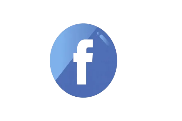 ABOUT fast delivery followers service